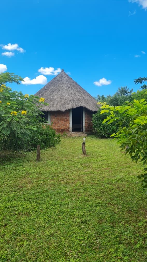 A round thatched chalet at Kigelia